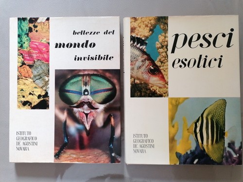 Lotto libri bellezze - 2, del