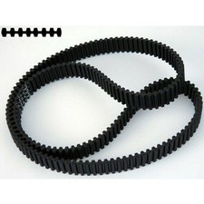 CINGHIA CINTA DENTATA  PIATTO