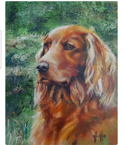 Dipinto olio originale setter