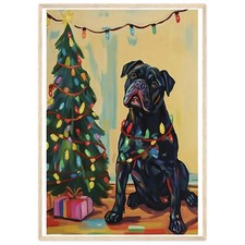 Cane Corso Cane aggrovigliato
