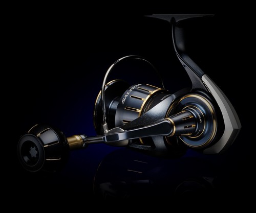 Mulinello spinning daiwa - da,