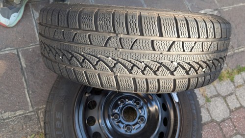 Gomme snow master petlas - gomme,