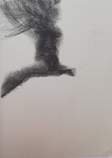 Emilio Greco - Disegno per Ovidio - litografia, 1965