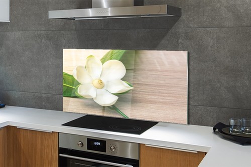Tulup parete posteriore cucina - parete,