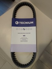 cinghia trasmissione