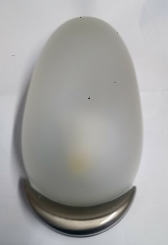 Applique vari rossini - 10,