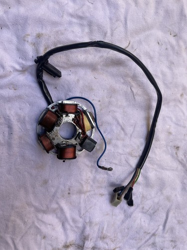 Statore zem fantic motor - statore,