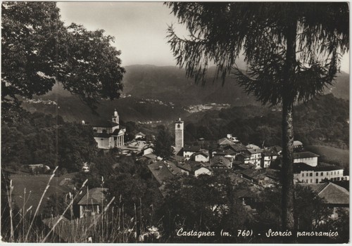 Castagnea 760 scorcio - -,