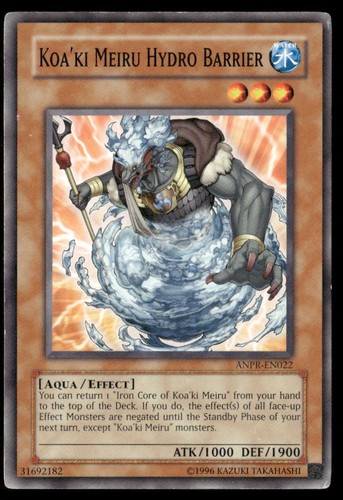 Koa meiru barriera - meiru,