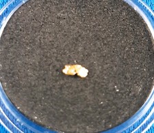 1 x XS pepita d'oro 1 mm, oro