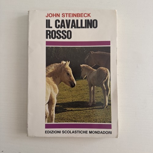 Cavallino rosso john - cavallino,