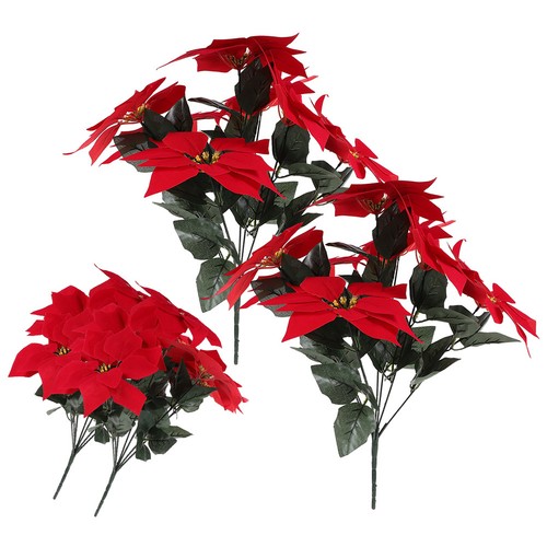 Pcs fiori stella - ,
