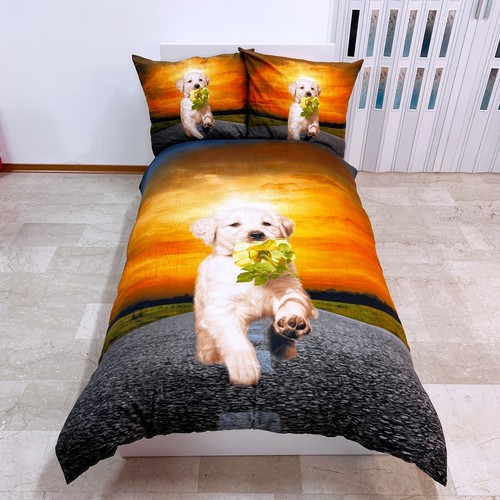 Cane labrador set - labrador,