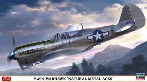 Hasegawa 07516 40n warhawk - hasegawa,