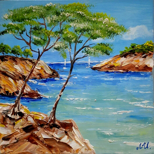Paesaggio marino sassoso