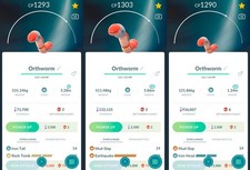 Orthworm XL, XXL, XXS | Per
