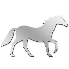 Specchio acrilico cavallo