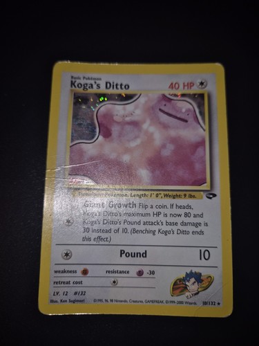 Pokemon koga s - koga’s, ditto