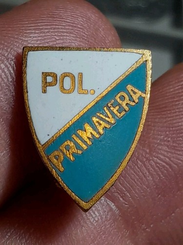 Pin anni distintivo pol - distintivo,