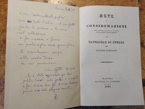 Note considerazioni - note,