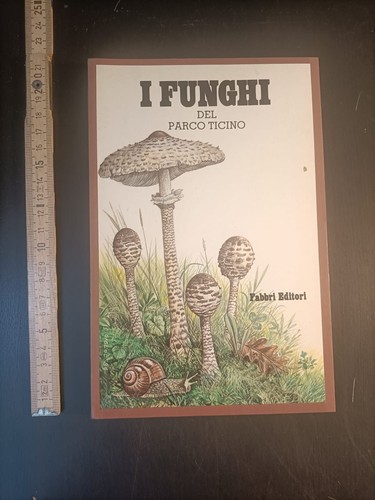 Funghi del parco - i,