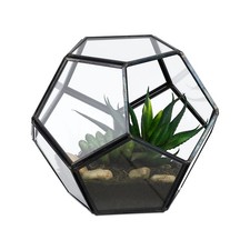 Terrario per piante floreale