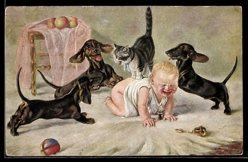 Cartolina tre bassotti - cartolina,