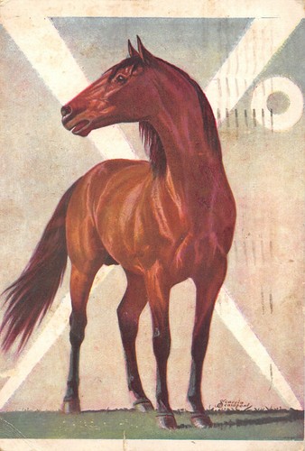 C9052 rassegna ippica - c9052),