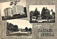 cc815 cartolina saluti da cassano spinola  provincia di alessandria