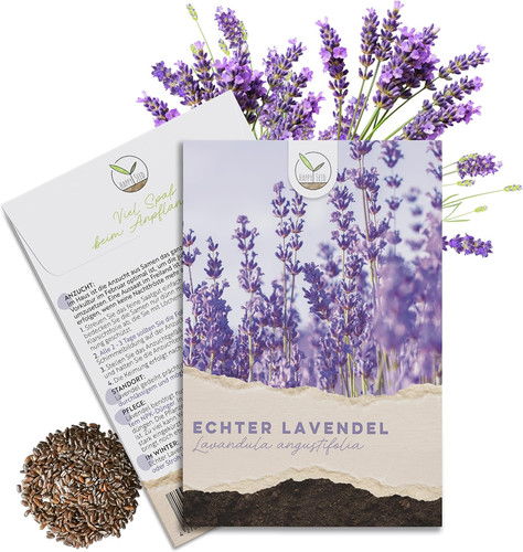 300 semi lavanda - semi, alto
