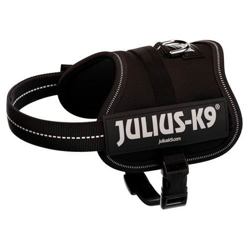 Julius pettorina power - julius-k9,