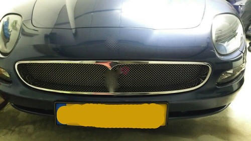 Griglia radiatore acciaio inox