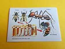 FIGURINA STICKER EUROPA FLASH