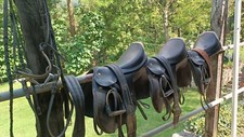 2 Selle Prestige da salto, 1 Sella Appaloosa Finimenti, Sottosella e Varie