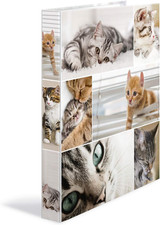 Set Di 3 Raccoglitori Ad