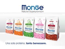 monge super premium kg 12