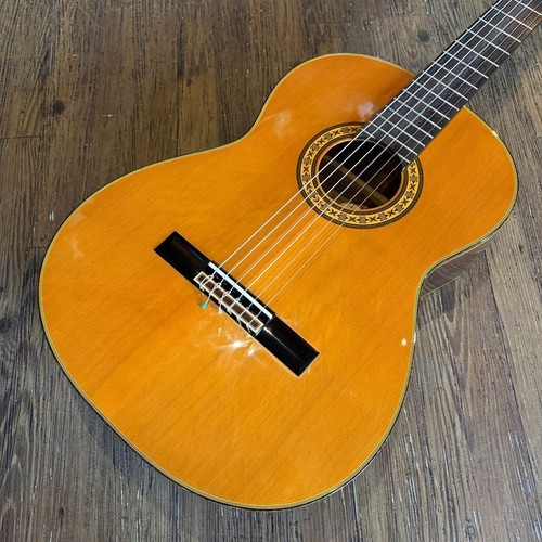 Takamine chitarra - takamine,