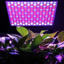 Excelvan 14W 225 SMD Led Hydroponic Grow Light & Lighting Panel, for Flower Vege
