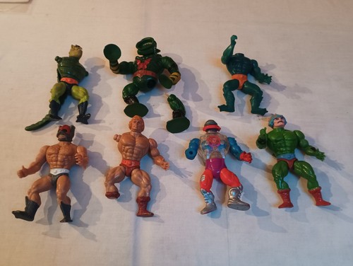 Masters the universe - the,