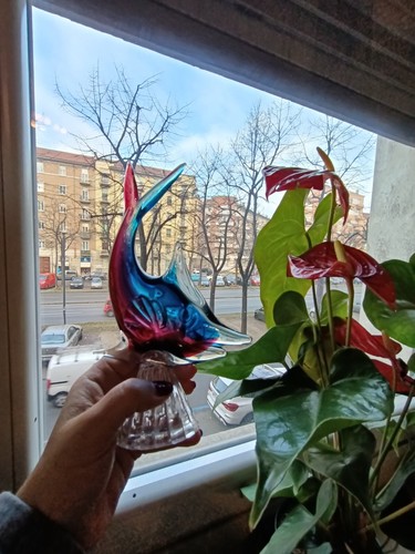 Pesce vetro murano bicolore - pesce,