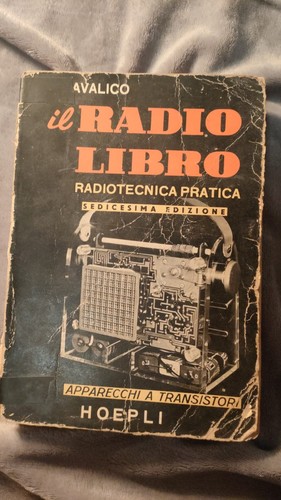 Radio libro domenico e - il,