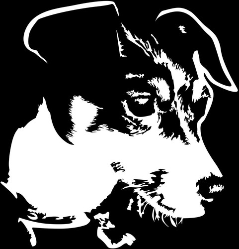 Adesivo jack russell terrier - jack,