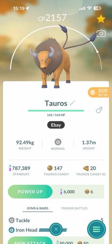 Pokemon⚡️Tauros