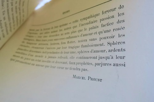 Proust 1892 1893 textes - proust, 1892-1893