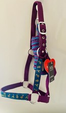 SET COLLARE HELWELL SHETLAND