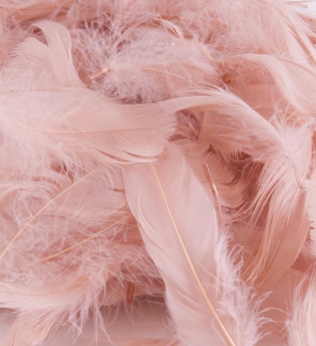 Confetti fluff feathers gr - confetti,