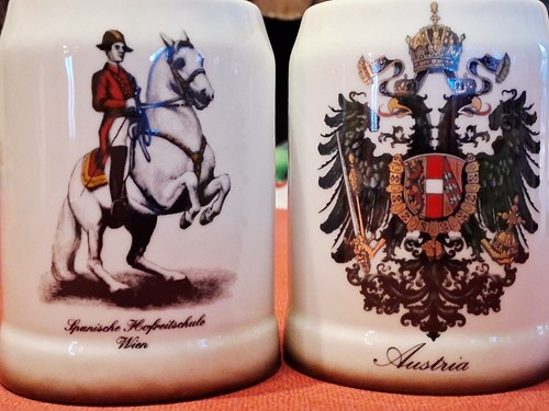 Boccali birra austria - di,