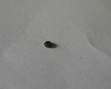 IWC CAL. 83 CAMBIO ASCENSORE