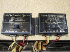 VINTAGE RARA COPPIA (2)