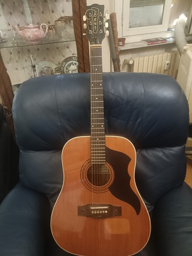 Chitarra acustica eko rangers - eko,